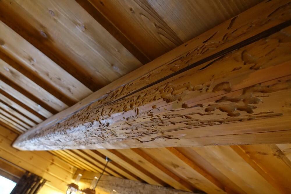 Dvojapartmánová drevenica Mýto Mýto pod Ďumbierom Exterior foto